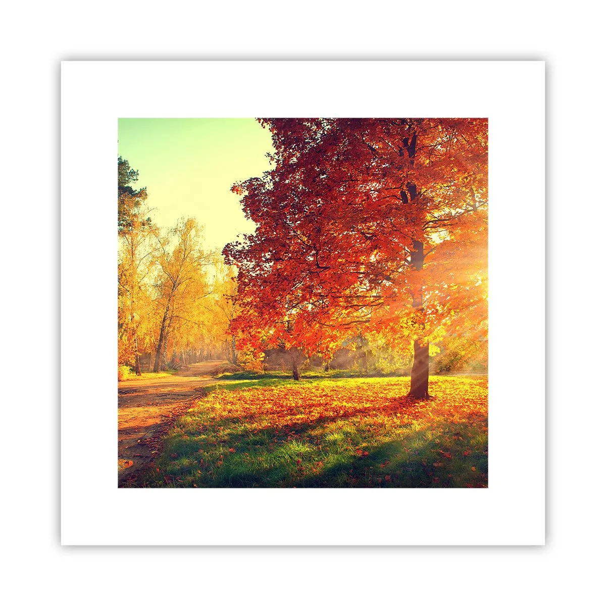 Poster - Ginger Is Beautiful - 30x30 cm