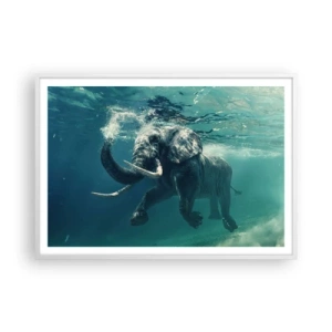 Poster in white frmae - Everyone Likes to Swim - 100x70 cm