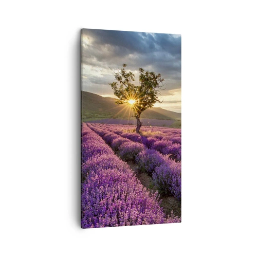 Canvas picture - Lilac Coloured Aroma - 45x80 cm