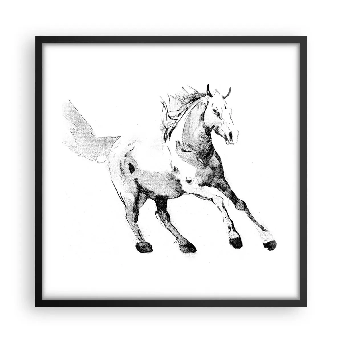 Poster in black frame - Untamed Soul - 50x50 cm