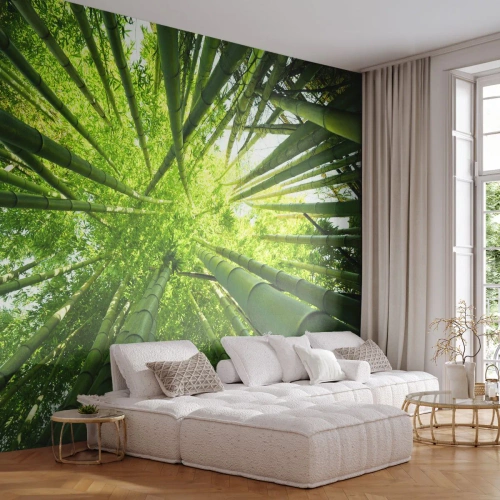 Photo Wallpaper Standard Eco - In a Bamboo Forest - Bamboo Forest, Jungle, Bamboo - 450x315 cm