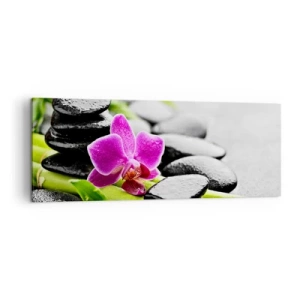 Canvas picture - In a Peaceful Balance - 140x50 cm