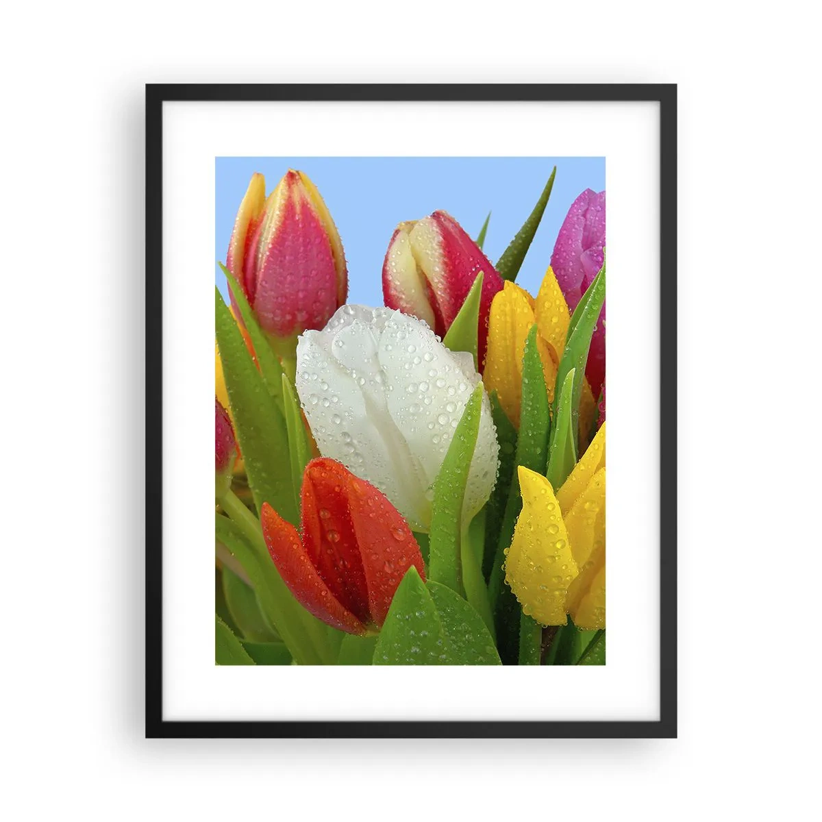 Poster in black frame - Floral Rainbow in Dew Drops - 40x50 cm