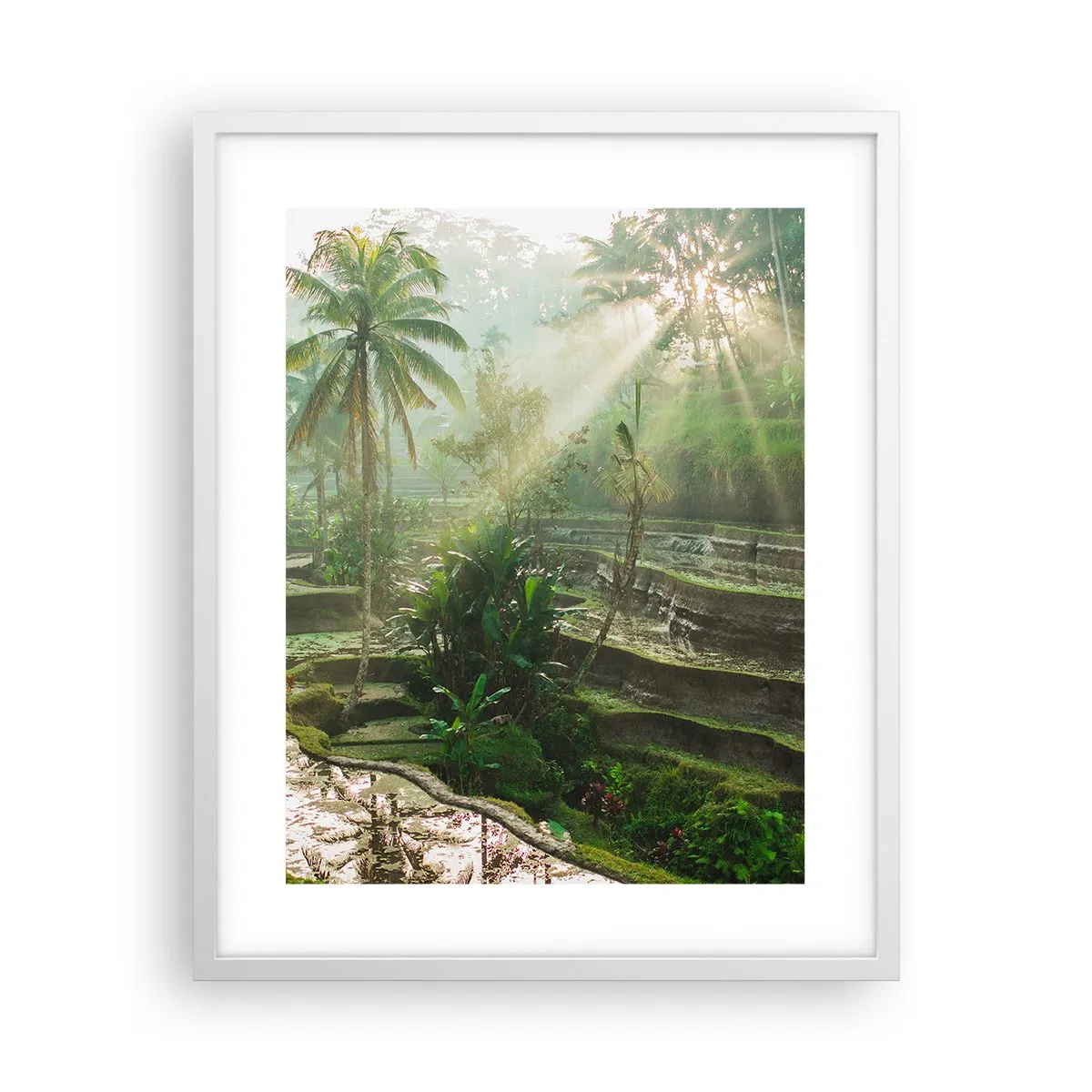 Poster in white frmae - Maturing in the Sun - 40x50 cm