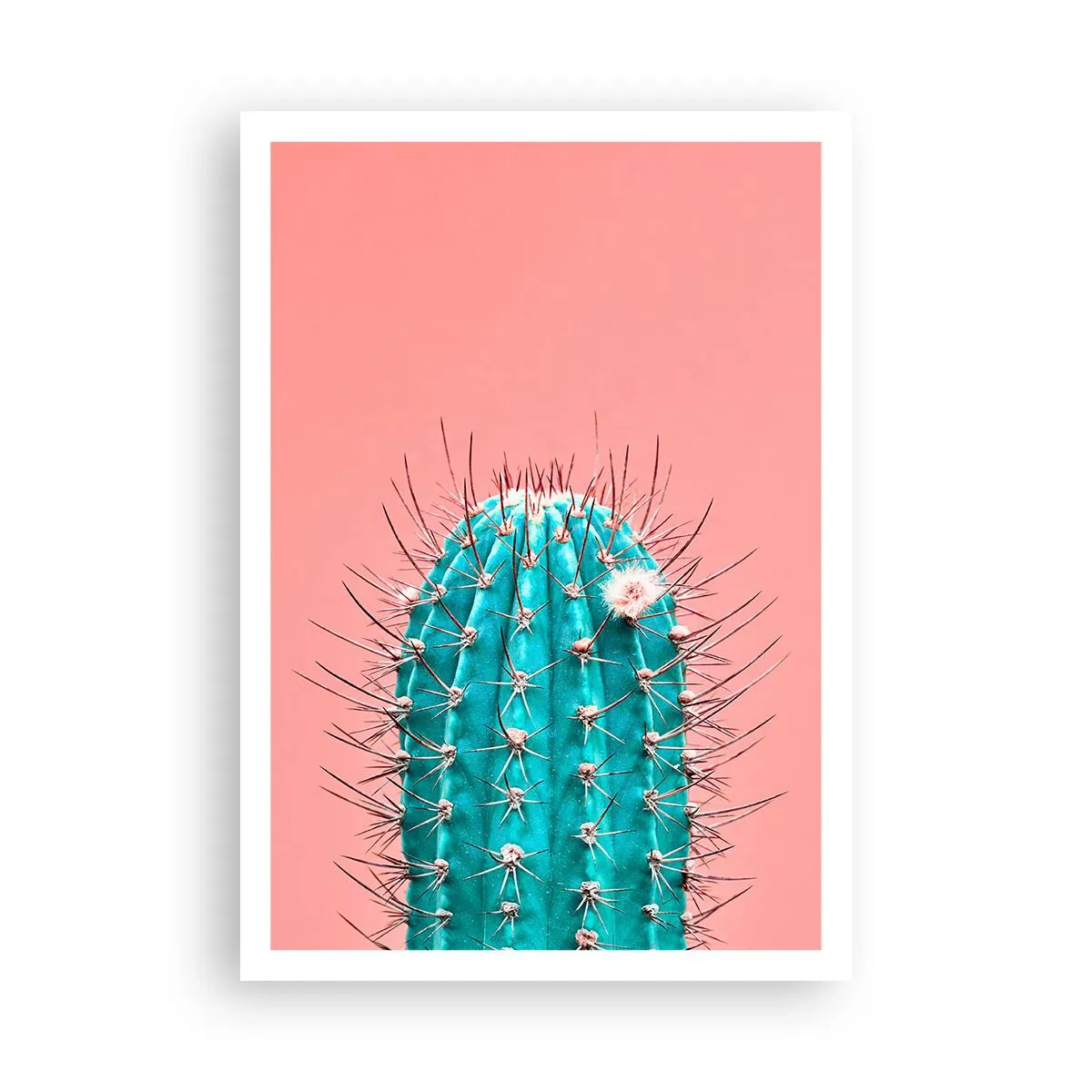 Poster - Just Look - 70x100 cm