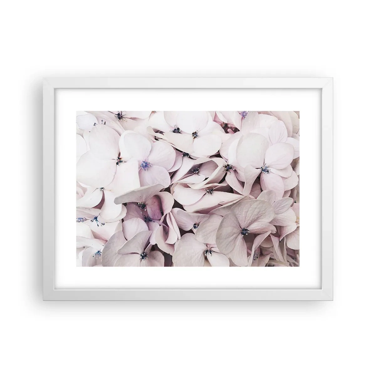 Poster in white frmae - In the Flood of Flowers - 40x30 cm