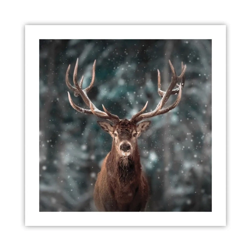 Poster - King of Forest Crowned - 50x50 cm
