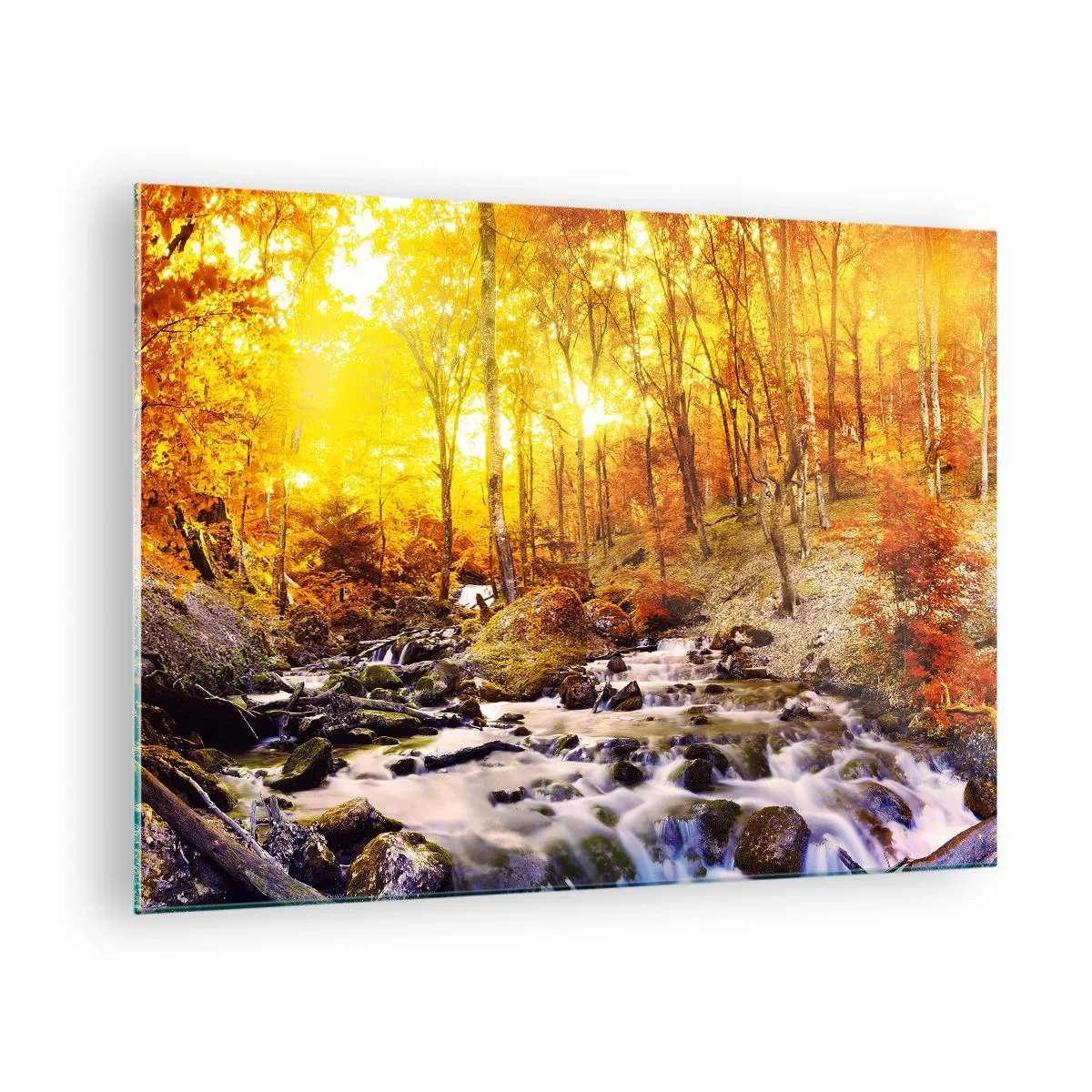 Glass picture - Autumn forest with a river in the rays of warm light - 70x50cm - Stones Set in Gold and Platinum - Modern wall decoration for the living room and bedroom ARTTOR