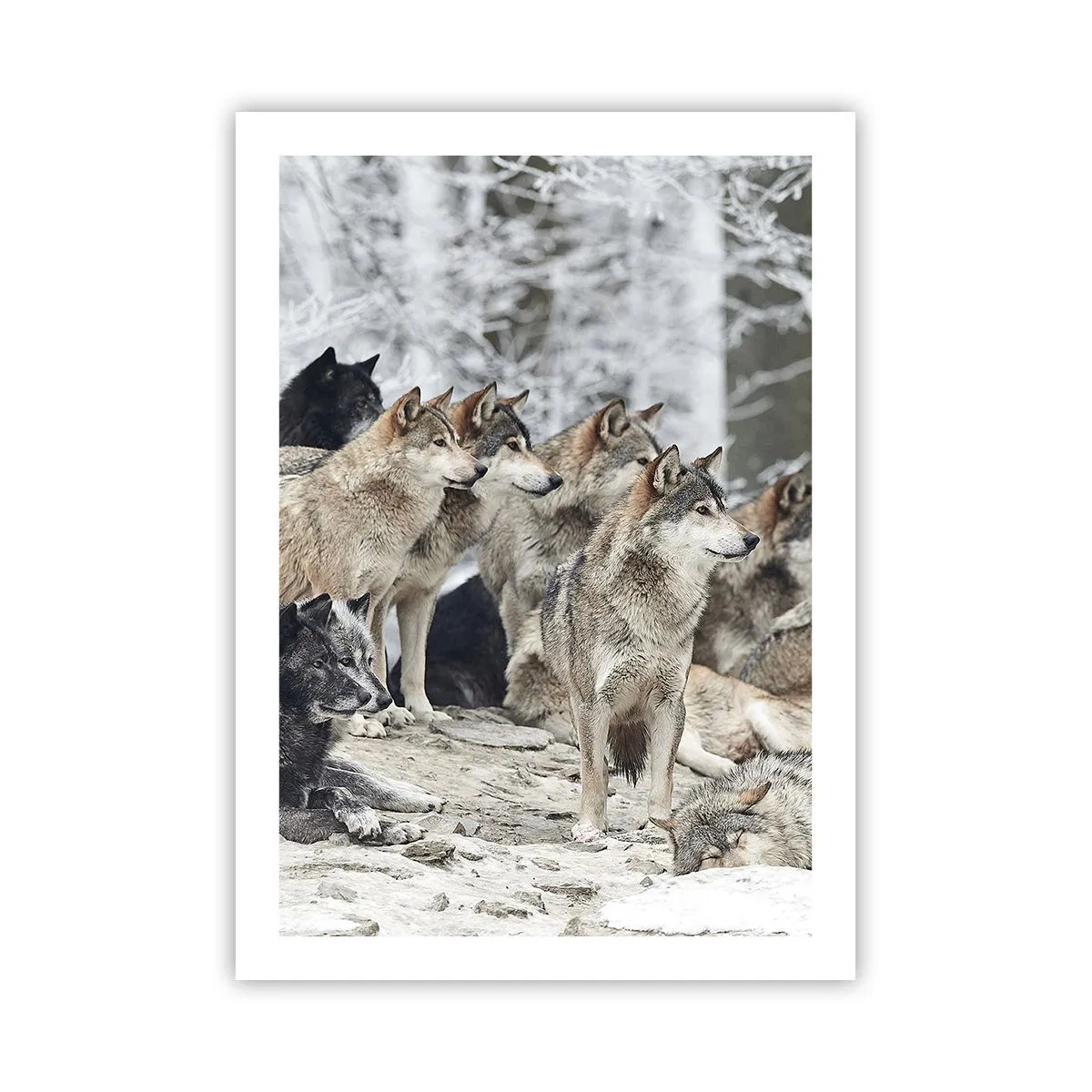 Poster - Family and Friends - 50x70 cm