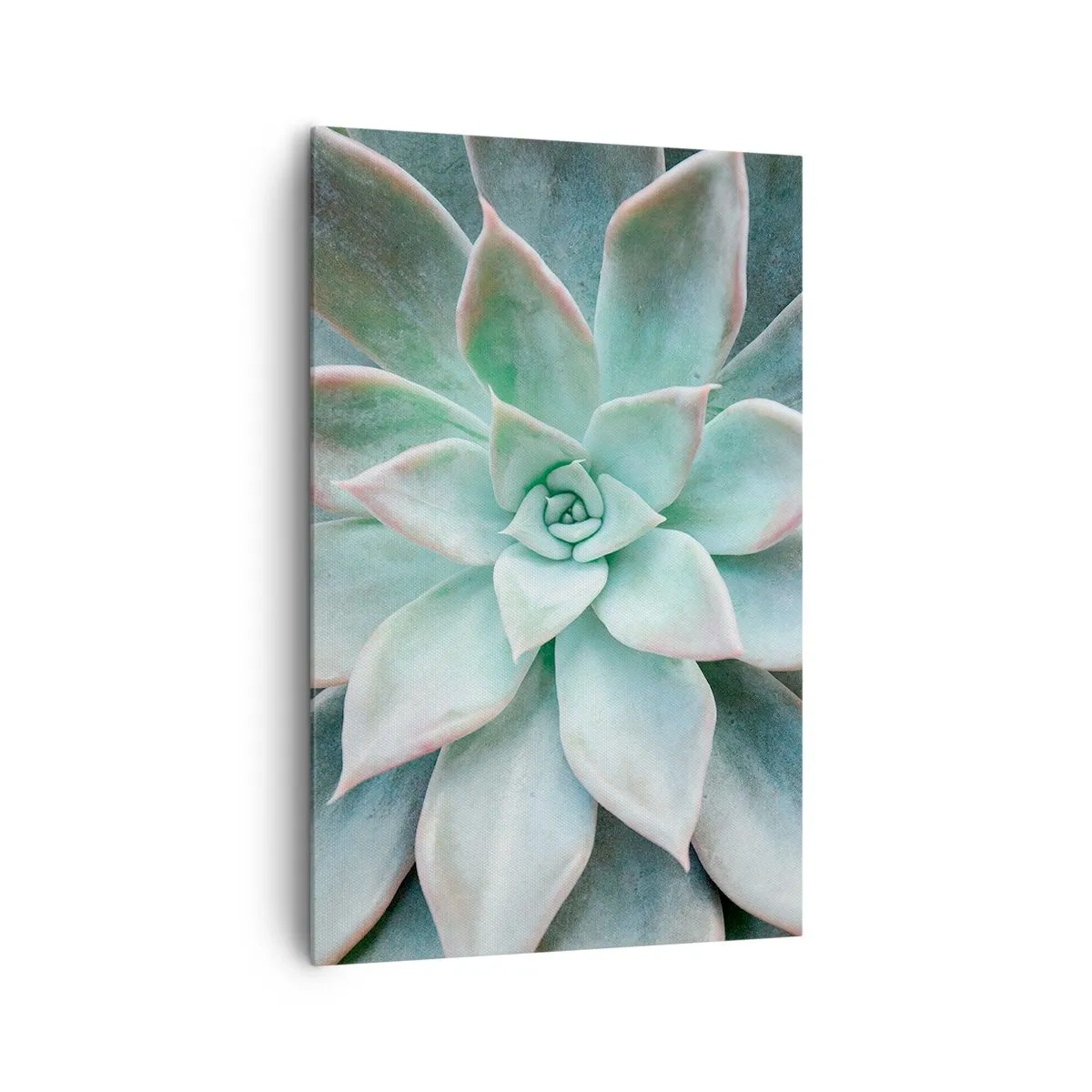 Canvas picture - Heart of a Desert - 80x120 cm