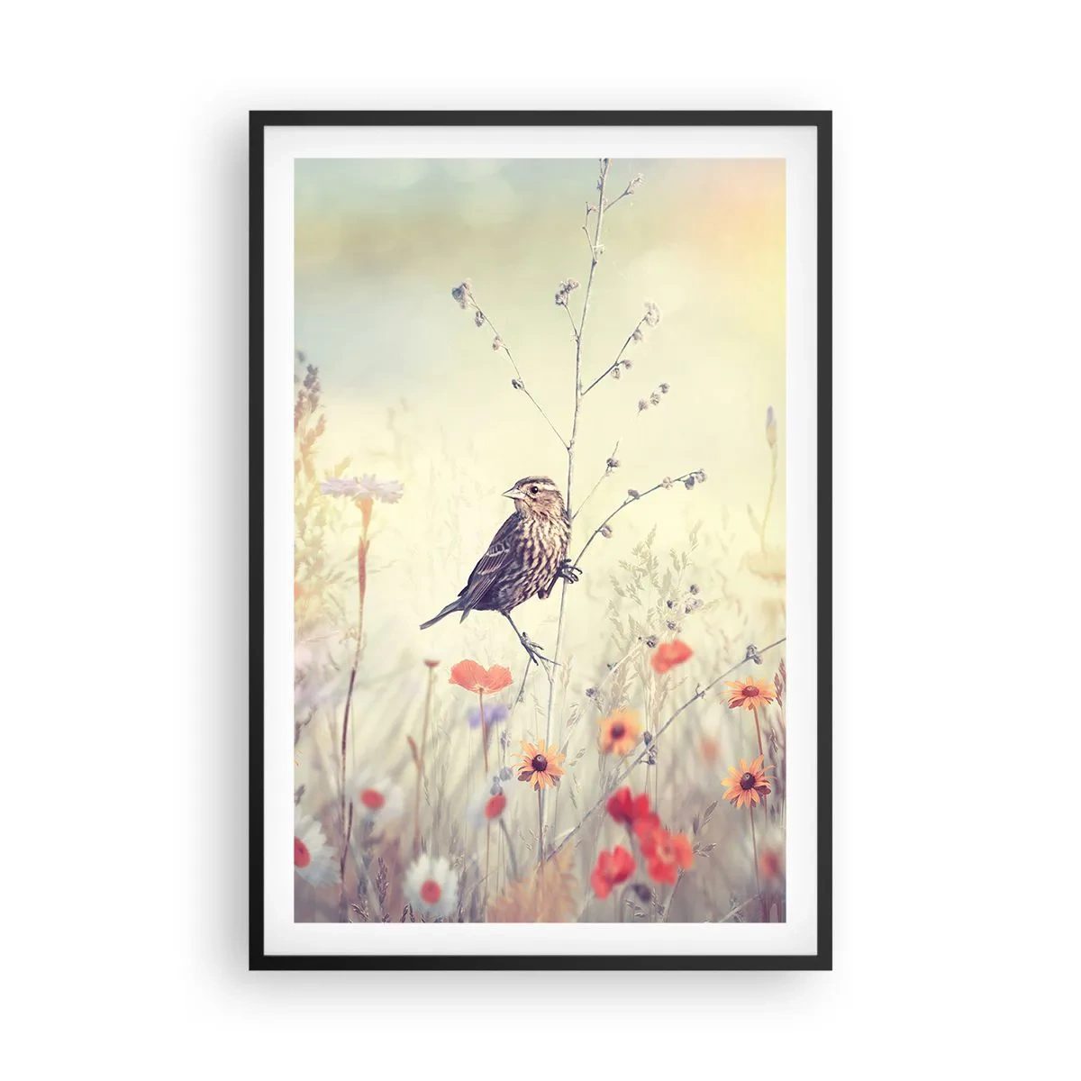 Poster in black frame - Bird Portrait with a Meadow in the Background - 61x91 cm