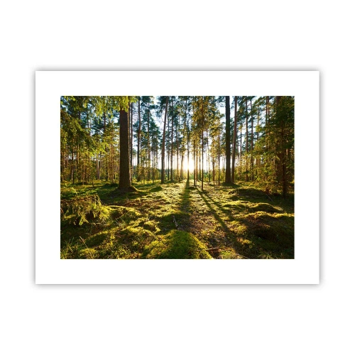 Poster - Deep in the Forest - 40x30 cm