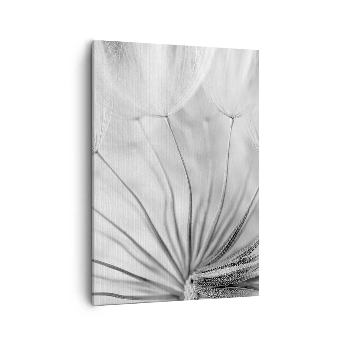 Canvas picture - Dandelion Kites - 50x70 cm
