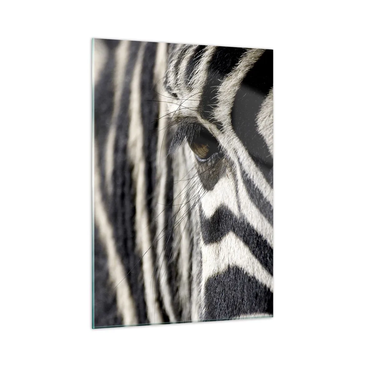 Glass picture - Striped Portrait - 50x70 cm