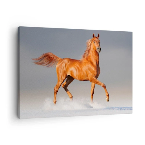 Canvas picture - galloping horse against a blue sky - 70x50cm - Dancing Grace - Modern wall decoration for the living room and bedroom ARTTOR