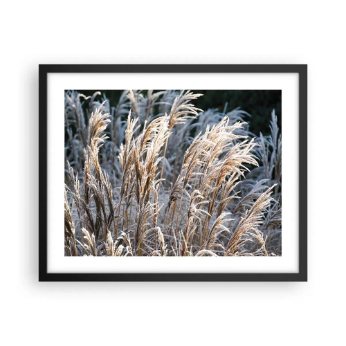Poster in black frame - Decorated with Frost - 50x40 cm