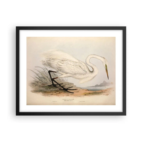 Poster in black frame - Lady on the Marsh - 50x40 cm
