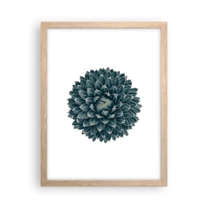 Poster in light oak frame - Star of the Desert - 30x40 cm