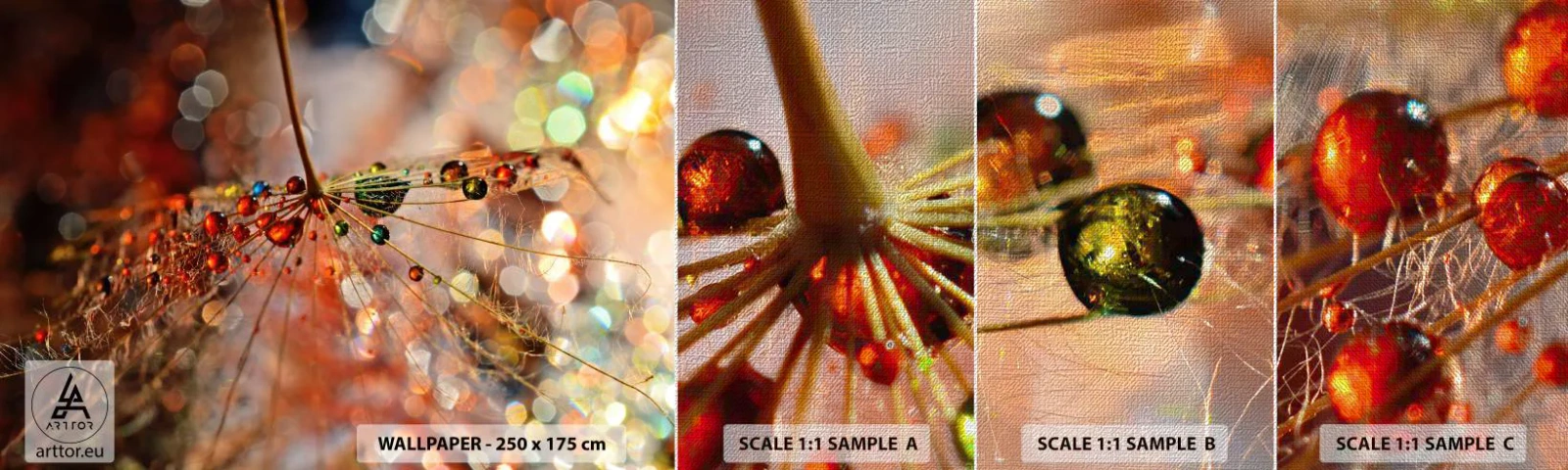 Photo Wallpaper Sample Premium Canvas - Strung on a Spider's Web - Abstraction, Spider's web, Piece - 100x30 cm