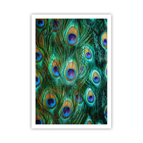 Poster - Peacock Eyes - 70x100 cm