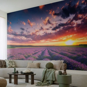 Custom Self-Adhesive Wallpaper Deluxe Sticker - Lavender World - Landscape, Lavender Field, Lavender