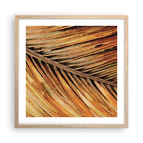 Poster in light oak frame - Coconut Gold - 50x50 cm
