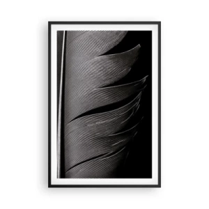 Poster in black frame - Feather - Wonderful Constract - 61x91 cm