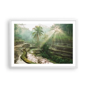 Poster in white frmae - Maturing in the Sun - 70x50 cm