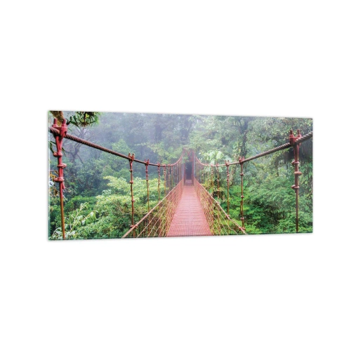 Glass picture - Suspended above Crowns - 120x50 cm