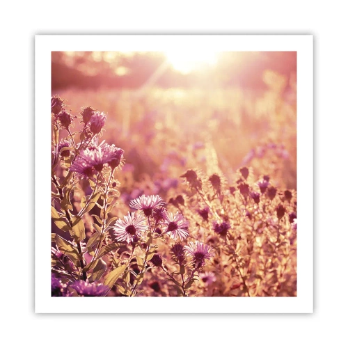 Poster - Before Summer Goes - 60x60 cm