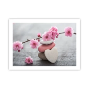 Poster - Bliss with Cherry Blossom - 70x50 cm