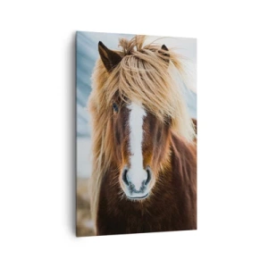 Canvas picture - Can You Feel the Freedom? - 80x120 cm