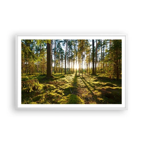 Poster in white frmae - Deep in the Forest - 91x61 cm