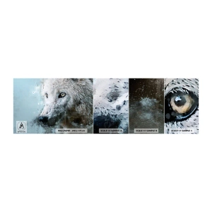 Photo Wallpaper Sample Self-Adhesive Deluxe Sticker - Meet Wolf Soul - Animals, Wolf, Predator - 100x30 cm