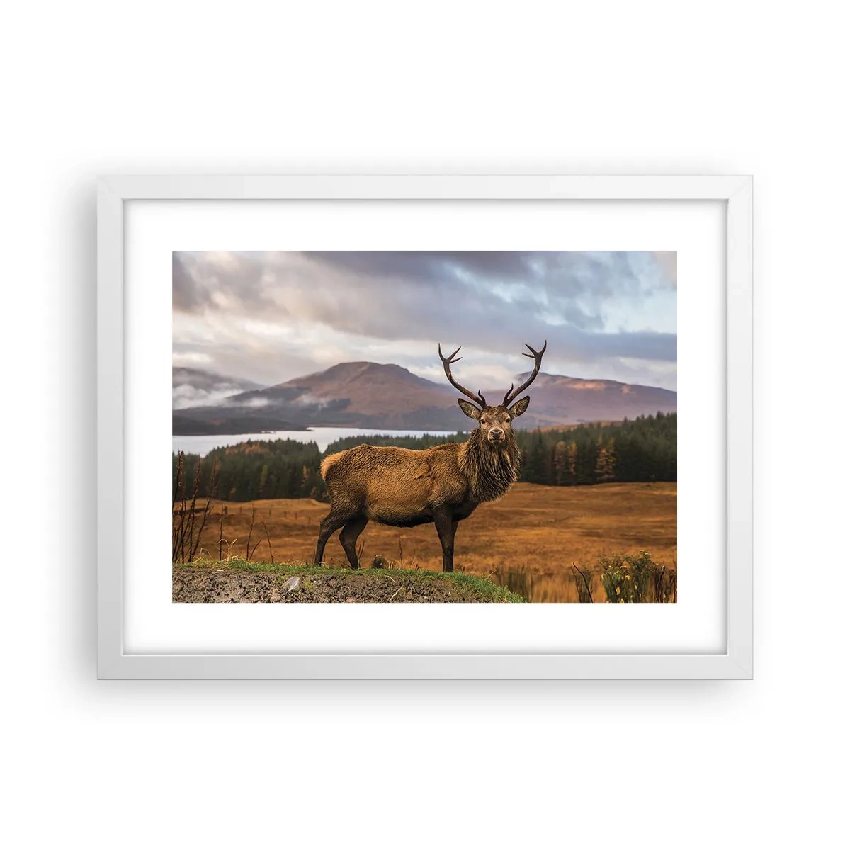 Poster in white frmae - Majesty of Nature - 40x30 cm
