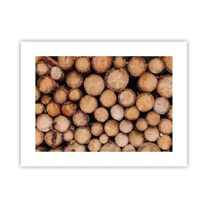 Poster - New Beginning - 40x30 cm