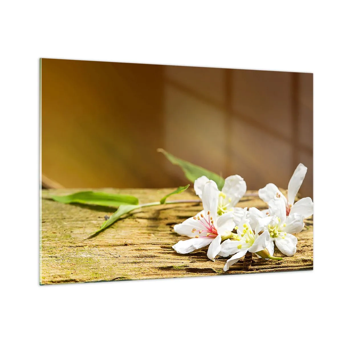 Glass picture - Innocent Promise - 100x70 cm