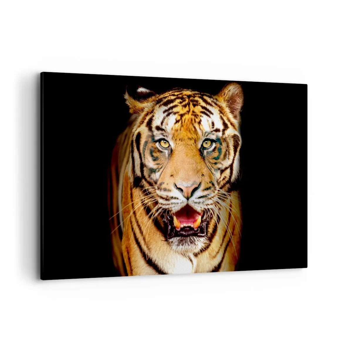 Canvas picture - Wild at Heart - 120x80 cm