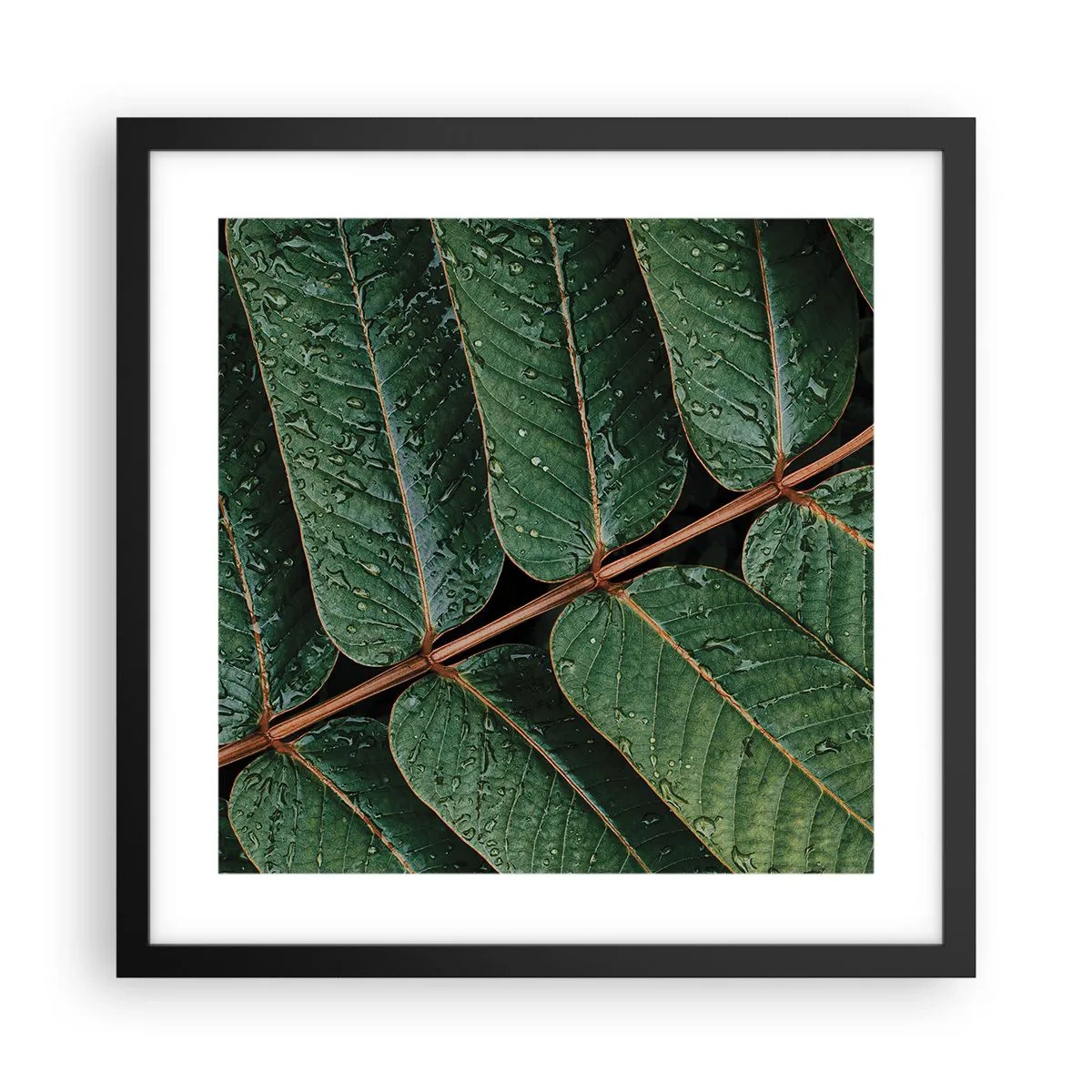 Poster in black frame - In Green Rhythm - 40x40 cm