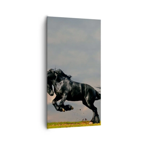 Canvas picture - Beautiful and Free - 65x120 cm