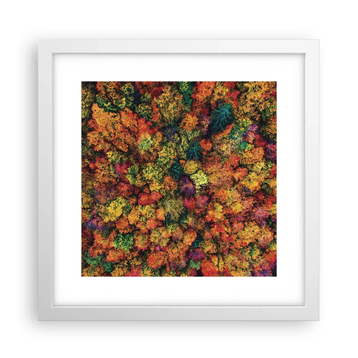 Poster in white frmae - Bouquet of Autumn Flowers - 30x30 cm