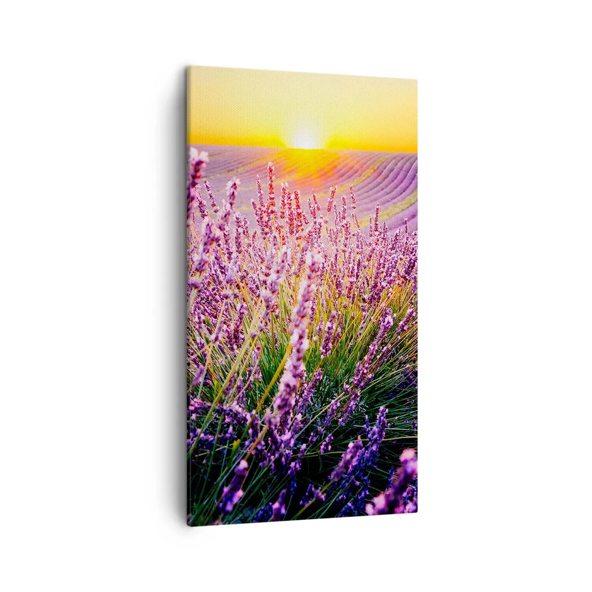 Canvas picture - Fragrant Field - 45x80 cm
