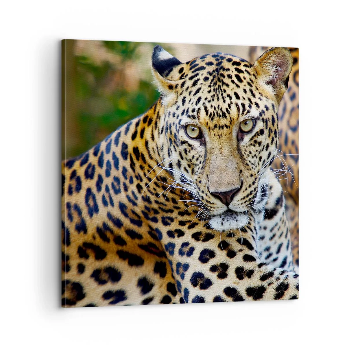 Canvas picture - Wild and Calm - 60x60 cm