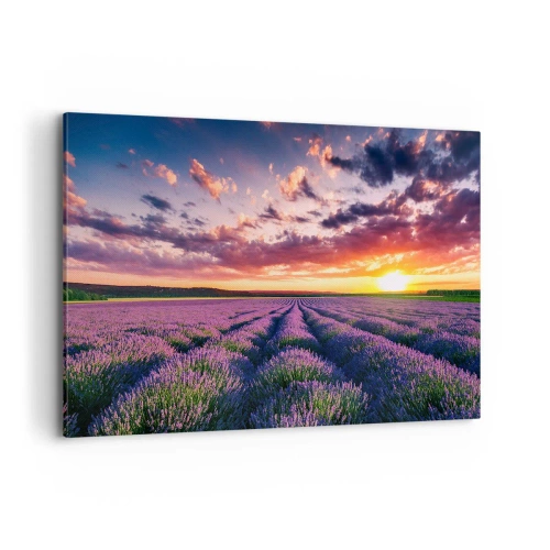 Canvas picture - Lavender World - 100x70 cm