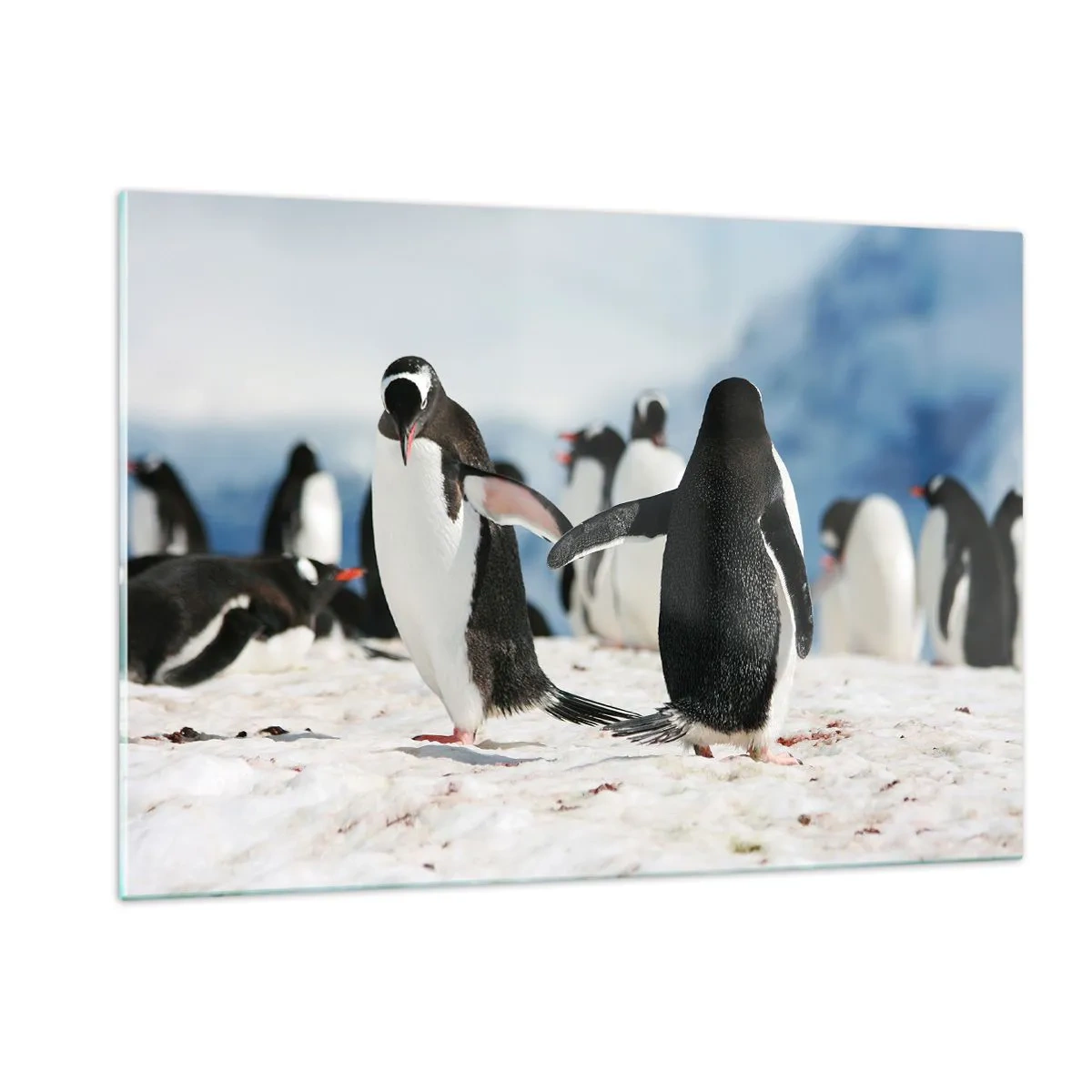 Glass picture - Dance in the Snow - 120x80 cm