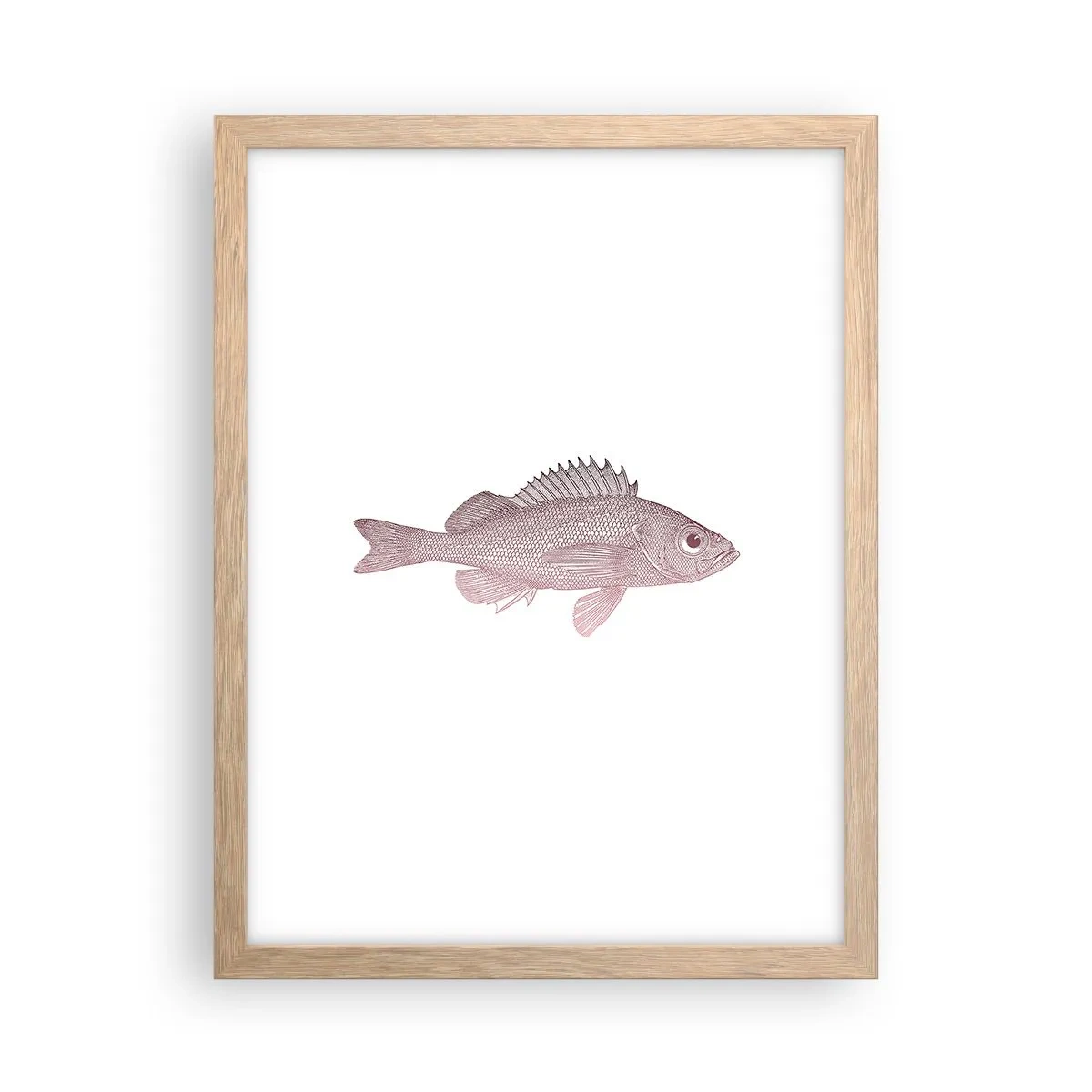 Poster in light oak frame - Big-eyed Fish - 30x40 cm