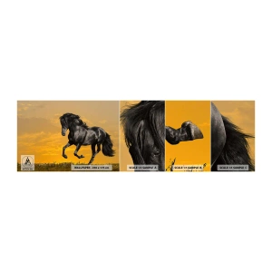 Photo Wallpaper Sample Self-Adhesive Deluxe Sticker - Beautiful, Free and Wild - Animals, Horse, Landscape - 100x30 cm