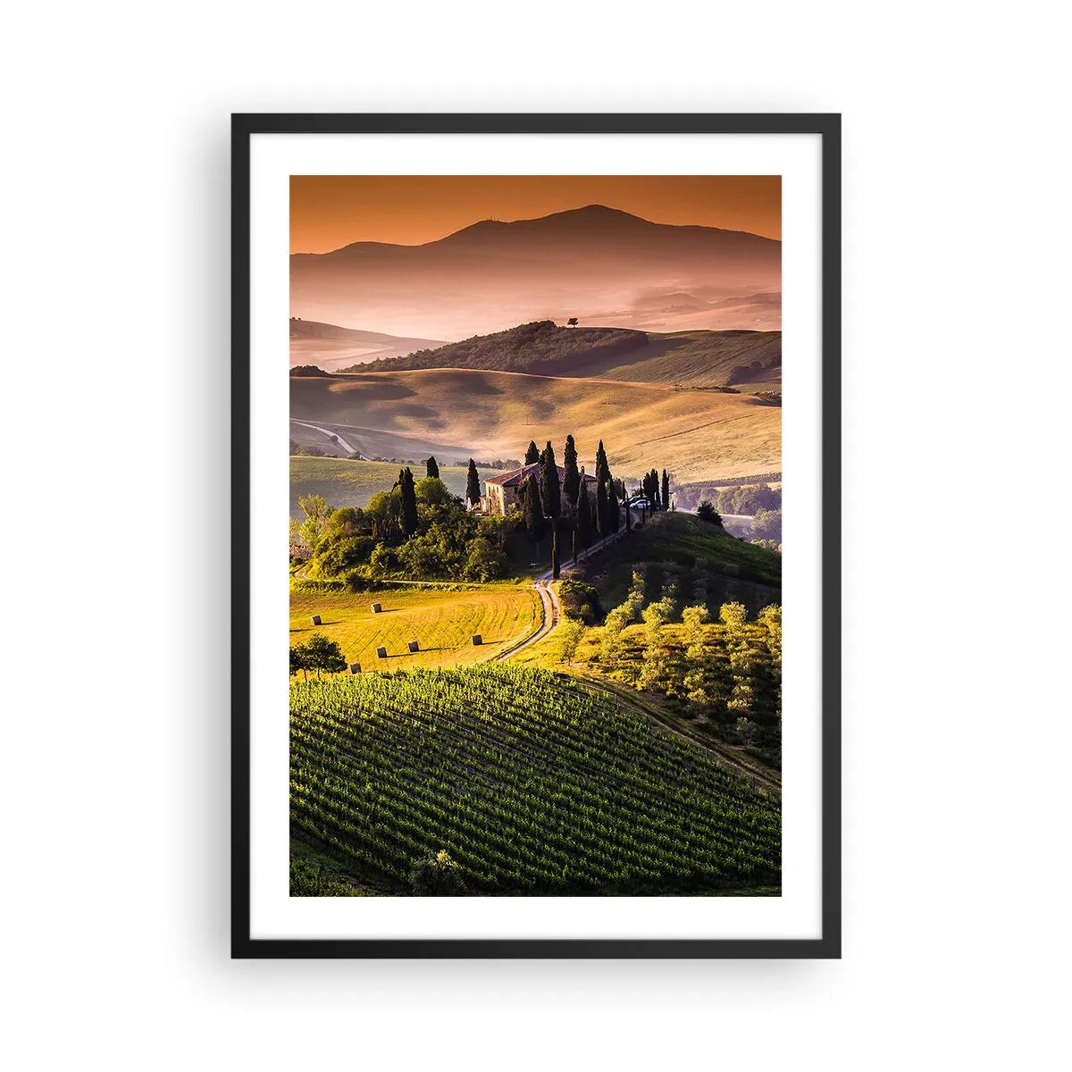 Poster in black frame - Tuscan landscape with vineyards at sunset - 50x70cm - Arcadia - Tuscan Landscape - Modern wall decoration for the living room and bedroom ARTTOR