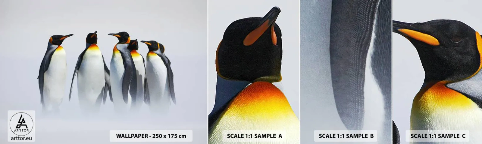 Photo Wallpaper Sample Self-Adhesive Deluxe Sticker - Meeting in Tuxedos - Animals, Penguin, Nature - 100x30 cm