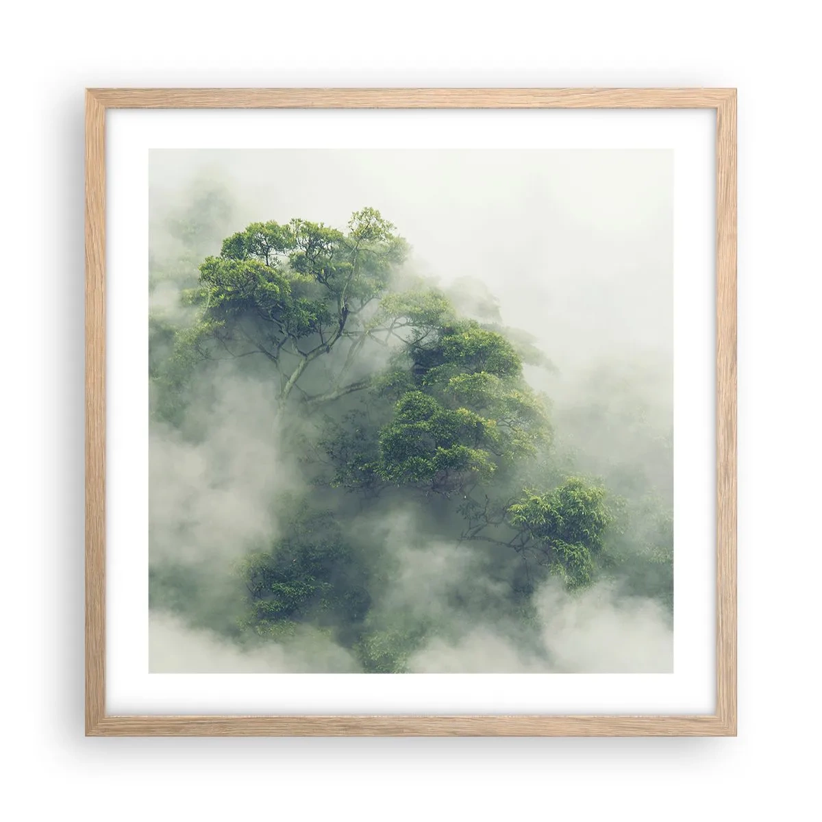 Poster in light oak frame - Wrapped In Fog - 50x50 cm